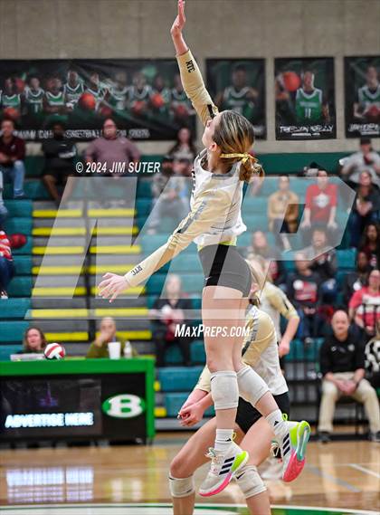Thumbnail 2 in Round Top-Carmine vs Richards (UIL Volleyball 1A Region III Final) photogallery.