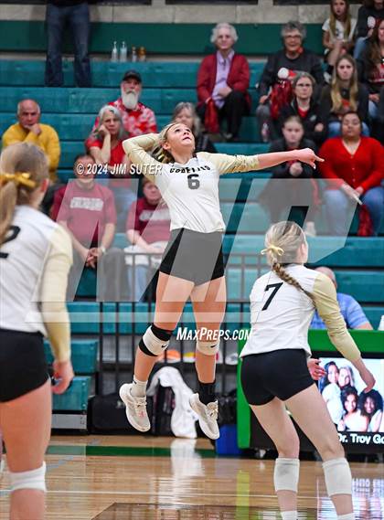 Thumbnail 3 in Round Top-Carmine vs Richards (UIL Volleyball 1A Region III Final) photogallery.