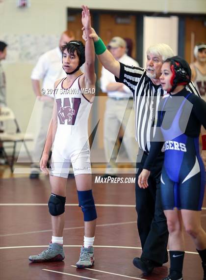 Thumbnail 1 in MHSAA Division 4 Playoffs photogallery.