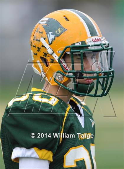Thumbnail 3 in Stevenson vs. Loyola Academy photogallery.