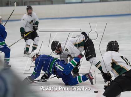 Thumbnail 3 in Pine Creek @ Mountain Vista photogallery.