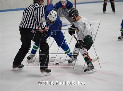 Thumbnail 3 in Pine Creek @ Mountain Vista photogallery.