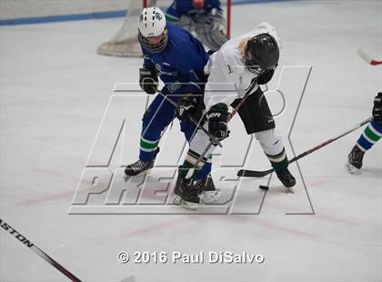 Thumbnail 3 in Pine Creek @ Mountain Vista photogallery.
