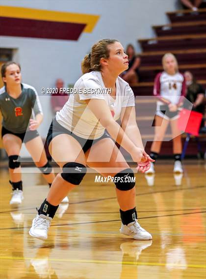 Thumbnail 2 in S & S Consolidated @ Collinsville photogallery.