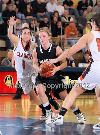 Thumbnail 1 in Homer-Center vs Clarion (PIAA Class A First Round) photogallery.