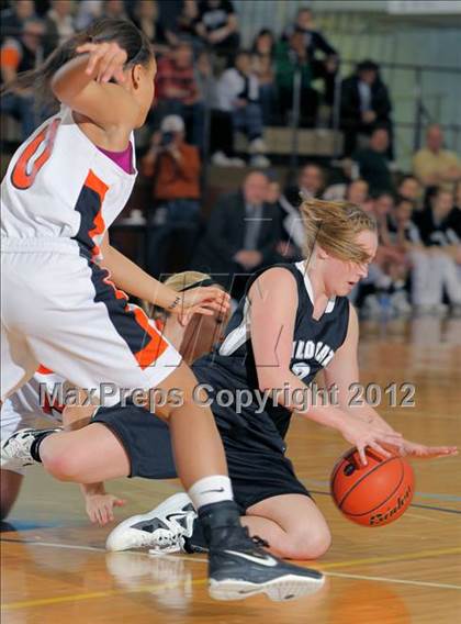 Thumbnail 1 in Homer-Center vs Clarion (PIAA Class A First Round) photogallery.