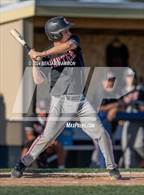 Photo from the gallery "West Albany @ Central"