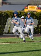 Photo from the gallery "West Albany @ Central"