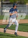 Photo from the gallery "West Albany @ Central"