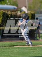 Photo from the gallery "West Albany @ Central"