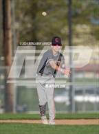 Photo from the gallery "West Albany @ Central"