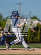 Photo from the gallery "West Albany @ Central"