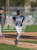 Photo from the gallery "West Albany @ Central"