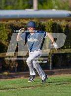 Photo from the gallery "West Albany @ Central"