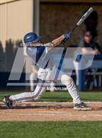 Photo from the gallery "West Albany @ Central"