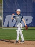 Photo from the gallery "West Albany @ Central"