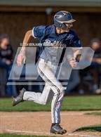 Photo from the gallery "West Albany @ Central"