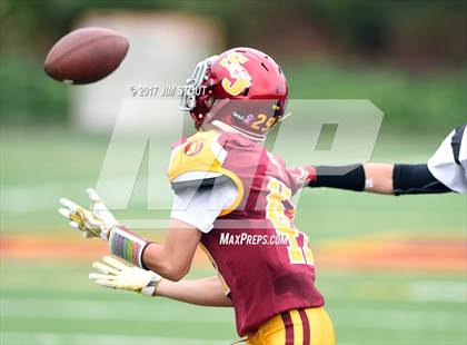 Thumbnail 3 in Fairfield Warde @ St. Joseph photogallery.