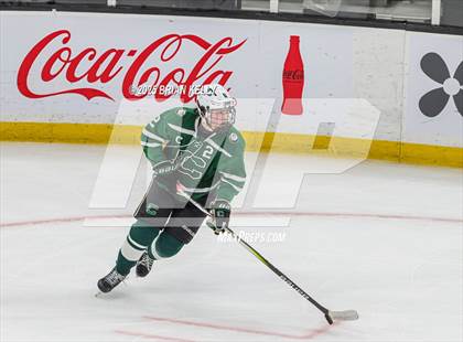 Thumbnail 1 in Billerica Memorial vs Canton (MIAA Division 2 Final) photogallery.