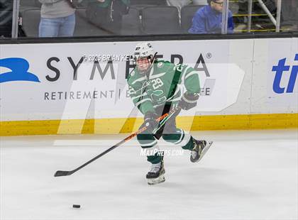 Thumbnail 2 in Billerica Memorial vs Canton (MIAA Division 2 Final) photogallery.