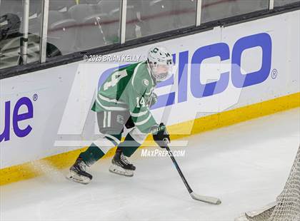 Thumbnail 1 in Billerica Memorial vs Canton (MIAA Division 2 Final) photogallery.