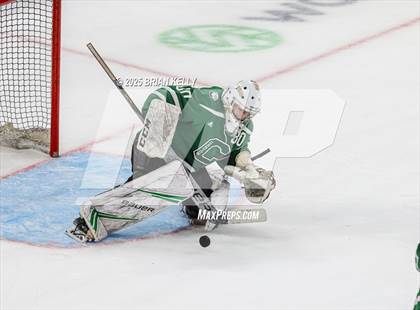 Thumbnail 1 in Billerica Memorial vs Canton (MIAA Division 2 Final) photogallery.