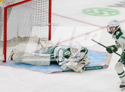 Thumbnail 2 in Billerica Memorial vs Canton (MIAA Division 2 Final) photogallery.