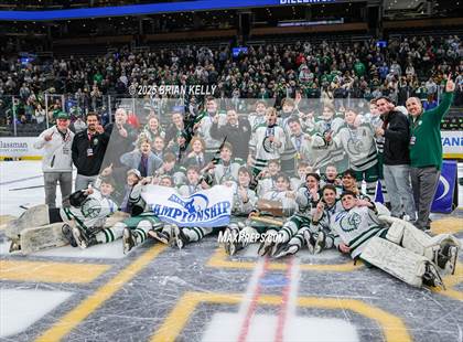 Thumbnail 3 in Billerica Memorial vs Canton (MIAA Division 2 Final) photogallery.