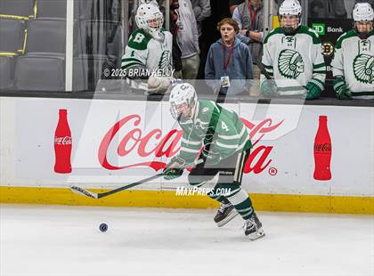 Thumbnail 3 in Billerica Memorial vs Canton (MIAA Division 2 Final) photogallery.
