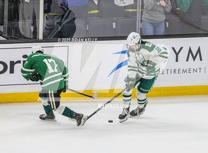 Thumbnail 3 in Billerica Memorial vs Canton (MIAA Division 2 Final) photogallery.