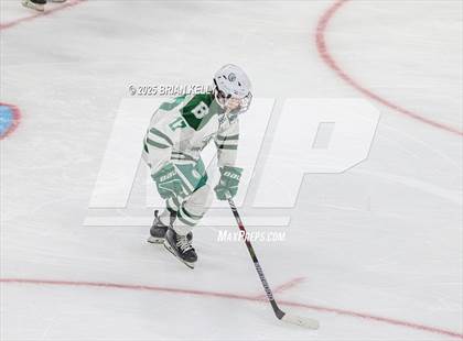 Thumbnail 3 in Billerica Memorial vs Canton (MIAA Division 2 Final) photogallery.