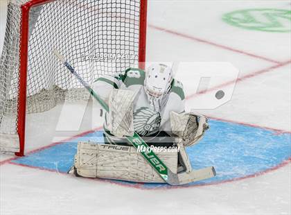 Thumbnail 1 in Billerica Memorial vs Canton (MIAA Division 2 Final) photogallery.