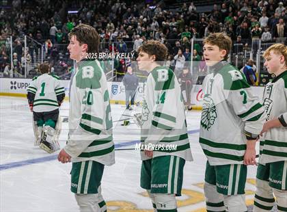Thumbnail 1 in Billerica Memorial vs Canton (MIAA Division 2 Final) photogallery.