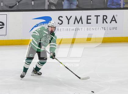 Thumbnail 3 in Billerica Memorial vs Canton (MIAA Division 2 Final) photogallery.