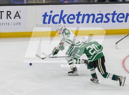Thumbnail 1 in Billerica Memorial vs Canton (MIAA Division 2 Final) photogallery.