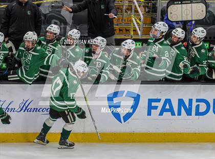 Thumbnail 1 in Billerica Memorial vs Canton (MIAA Division 2 Final) photogallery.