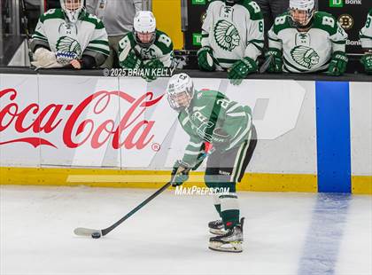 Thumbnail 3 in Billerica Memorial vs Canton (MIAA Division 2 Final) photogallery.