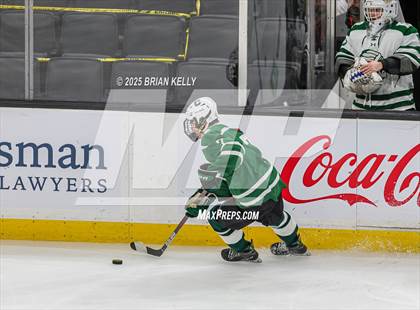 Thumbnail 1 in Billerica Memorial vs Canton (MIAA Division 2 Final) photogallery.