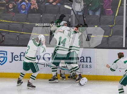 Thumbnail 3 in Billerica Memorial vs Canton (MIAA Division 2 Final) photogallery.