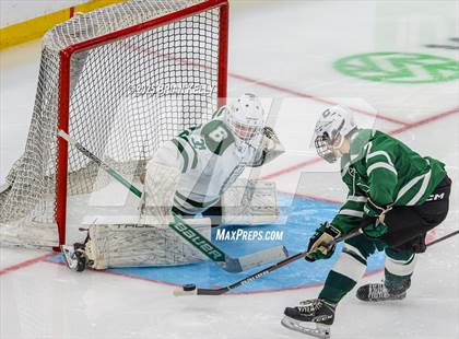 Thumbnail 3 in Billerica Memorial vs Canton (MIAA Division 2 Final) photogallery.