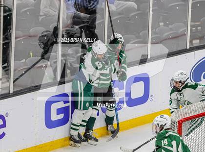 Thumbnail 1 in Billerica Memorial vs Canton (MIAA Division 2 Final) photogallery.
