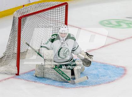 Thumbnail 3 in Billerica Memorial vs Canton (MIAA Division 2 Final) photogallery.