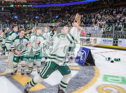 Thumbnail 1 in Billerica Memorial vs Canton (MIAA Division 2 Final) photogallery.
