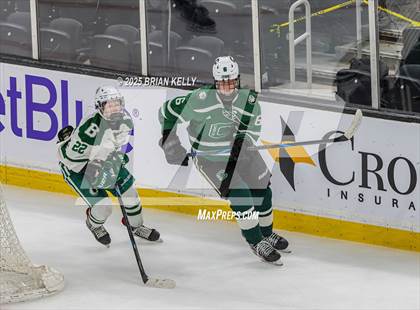 Thumbnail 1 in Billerica Memorial vs Canton (MIAA Division 2 Final) photogallery.