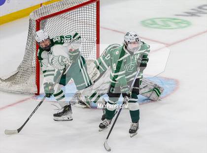 Thumbnail 2 in Billerica Memorial vs Canton (MIAA Division 2 Final) photogallery.