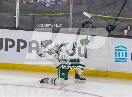Thumbnail 3 in Billerica Memorial vs Canton (MIAA Division 2 Final) photogallery.