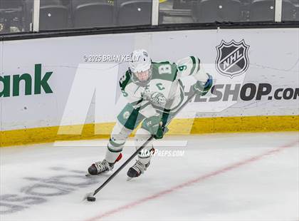 Thumbnail 2 in Billerica Memorial vs Canton (MIAA Division 2 Final) photogallery.