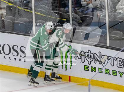 Thumbnail 1 in Billerica Memorial vs Canton (MIAA Division 2 Final) photogallery.