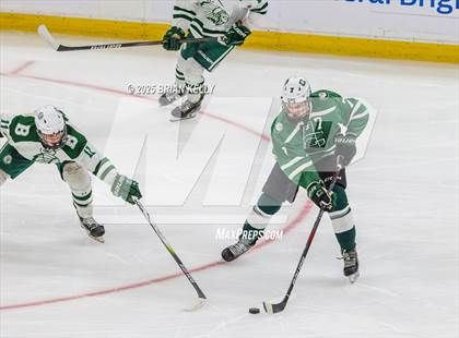 Thumbnail 2 in Billerica Memorial vs Canton (MIAA Division 2 Final) photogallery.