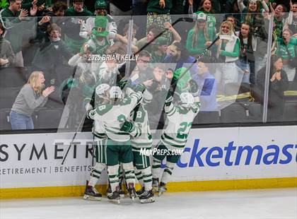 Thumbnail 3 in Billerica Memorial vs Canton (MIAA Division 2 Final) photogallery.